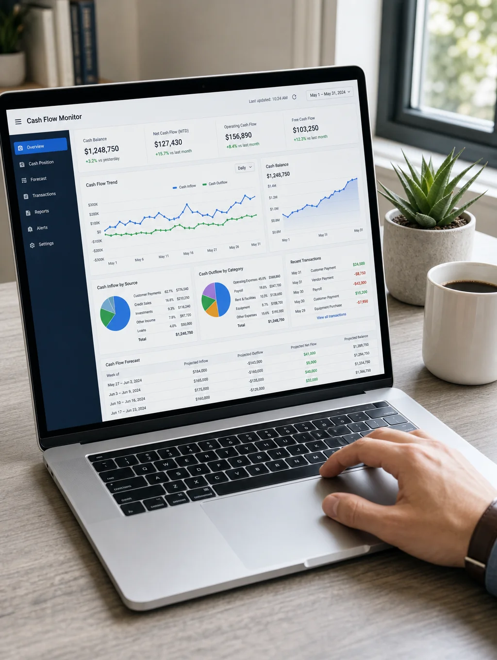 Professional payroll management software interface